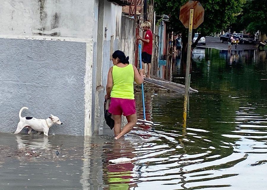 Lagoa das Flores é alvo de requerimentos discutidos na Câmara