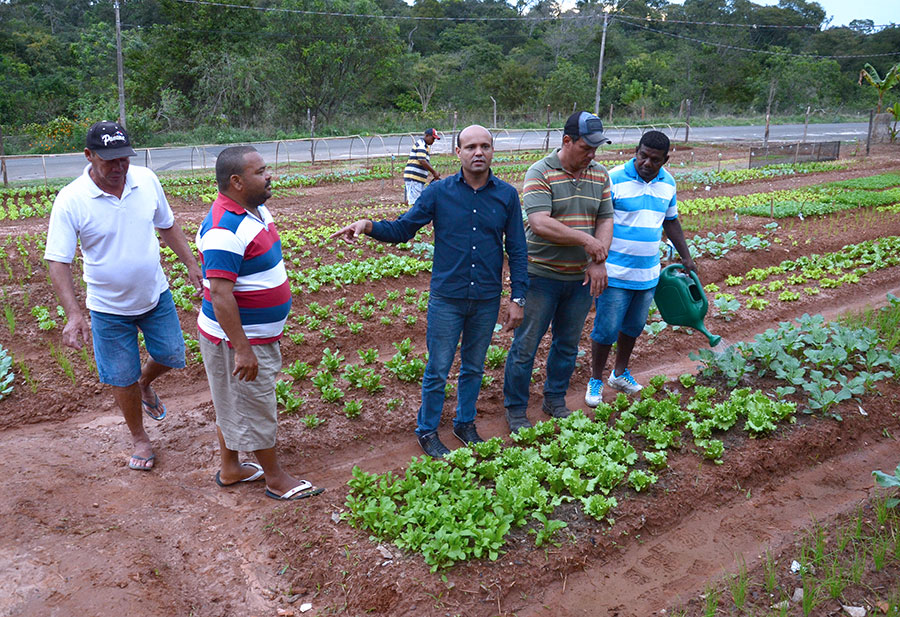 Papinha visita horta comunitária no Araçatuba G