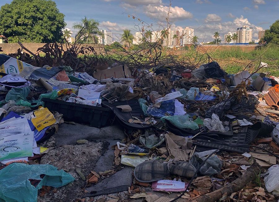 Parlamentares pedem informações sobre fiscalização do meio ambiente