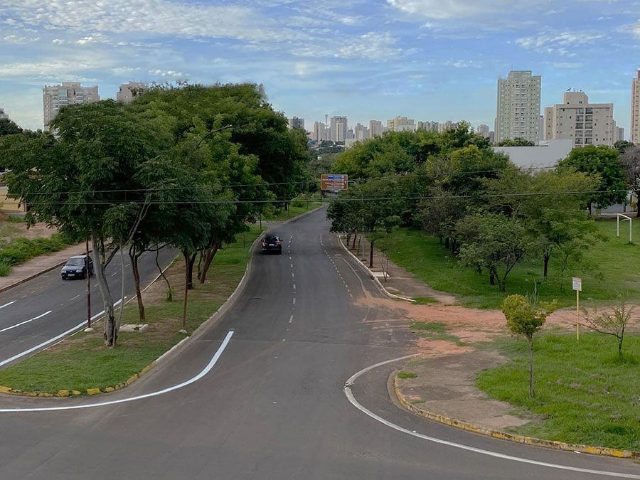 Plenário aprova proibição de plantio de árvores exóticas em áreas urbanas