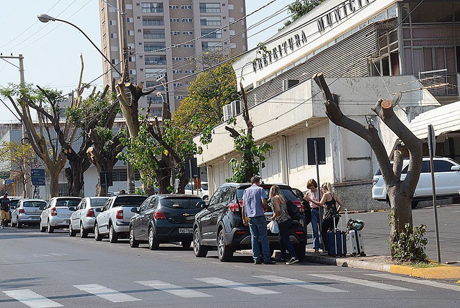 Plenário quer explicações sobre poda de árvores em avenida