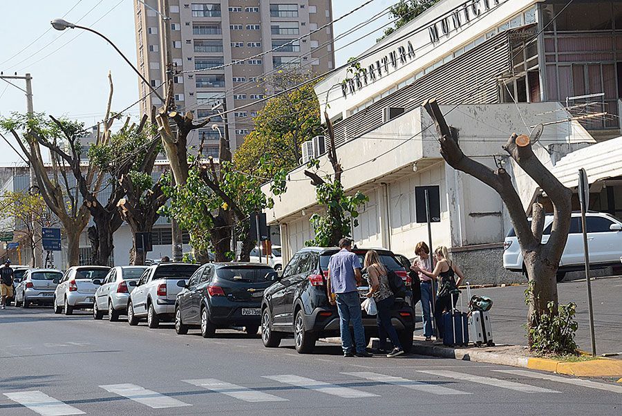 Plenário quer explicações sobre poda de árvores em avenida Plenário quer explicações sobre poda de árvores em avenida