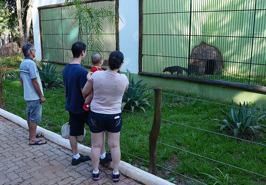 Vereador Batata pergunta sobre a revitalização do zoológico municipal